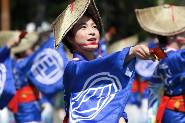 16年 第63回よさこい祭り 四国銀行